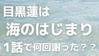 海のはじまり第1話で目黒蓮が謝った回数を死ぬ気で数えたら地獄見た