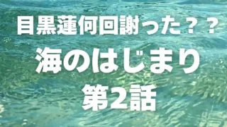 海のはじまり第２話で目黒蓮は何回謝った？？数えてみたらあふれ出す…ふたをしていた想い